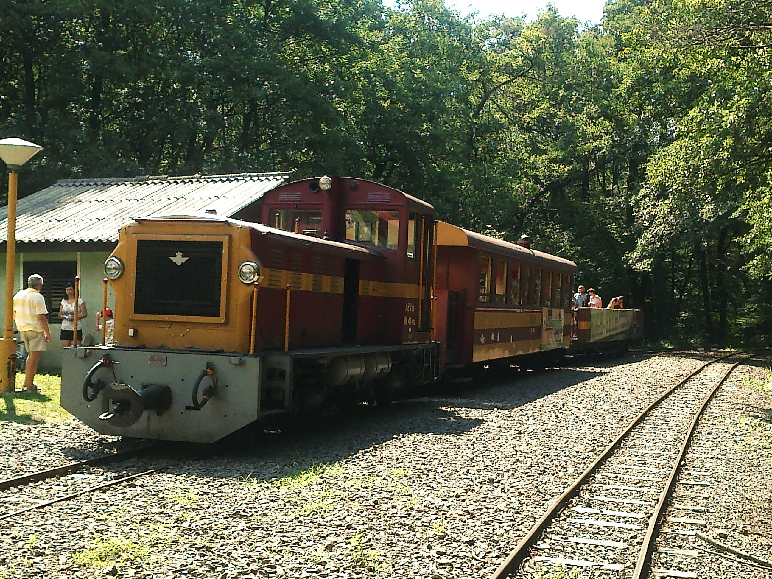 Vasút