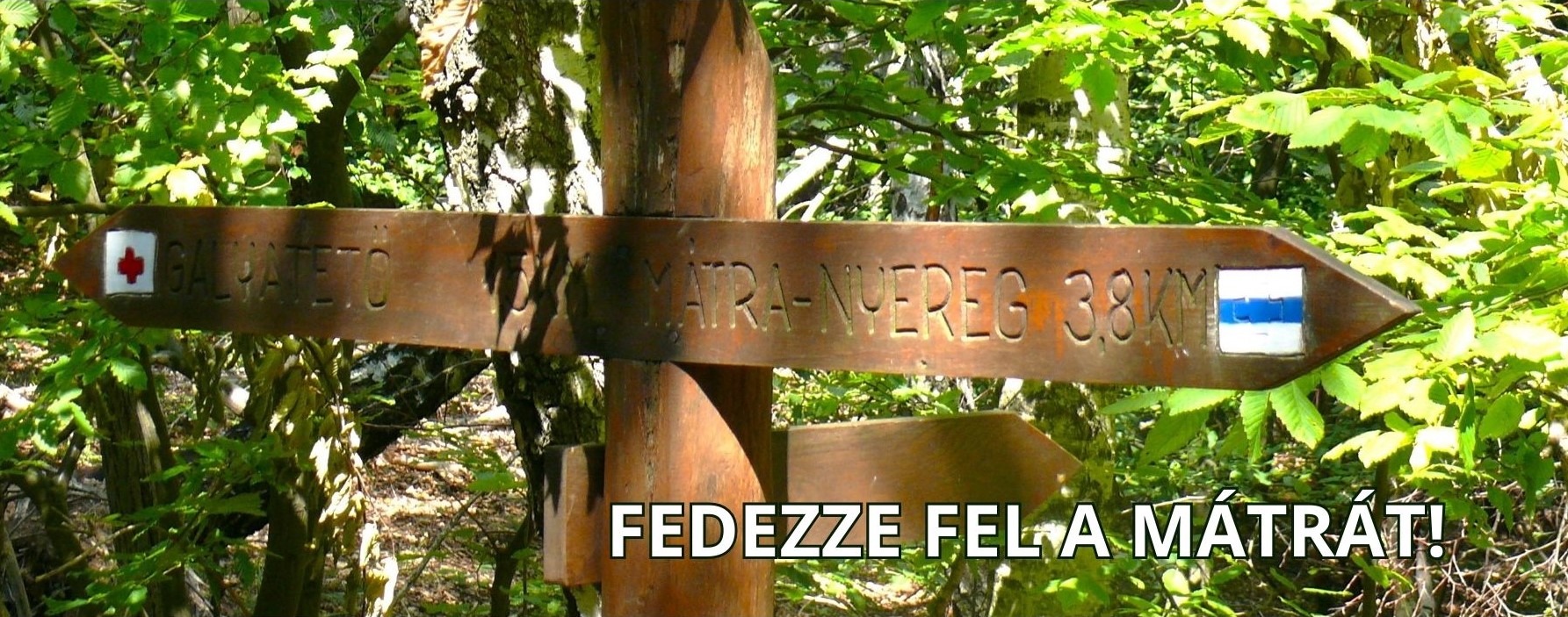 Fedezze fel a Mátrát