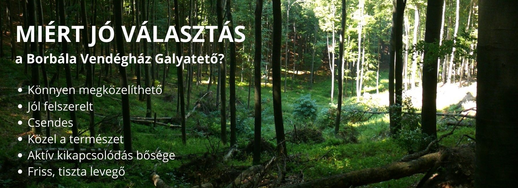 Miért jó választás